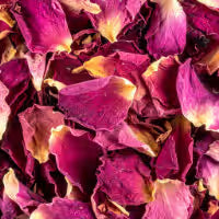 Rose Petals